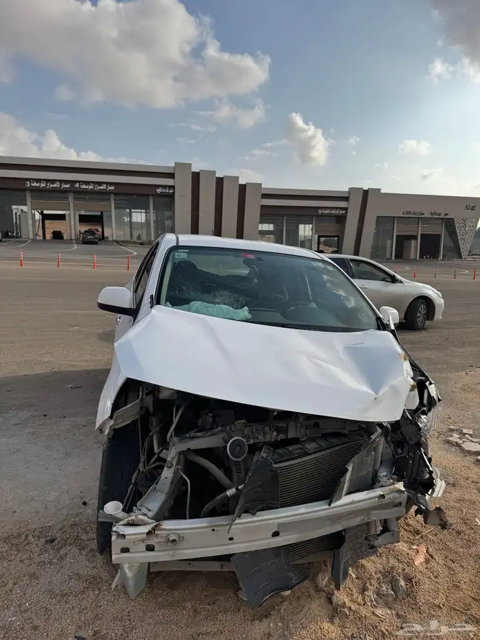 صني 2019 مصدومة 8