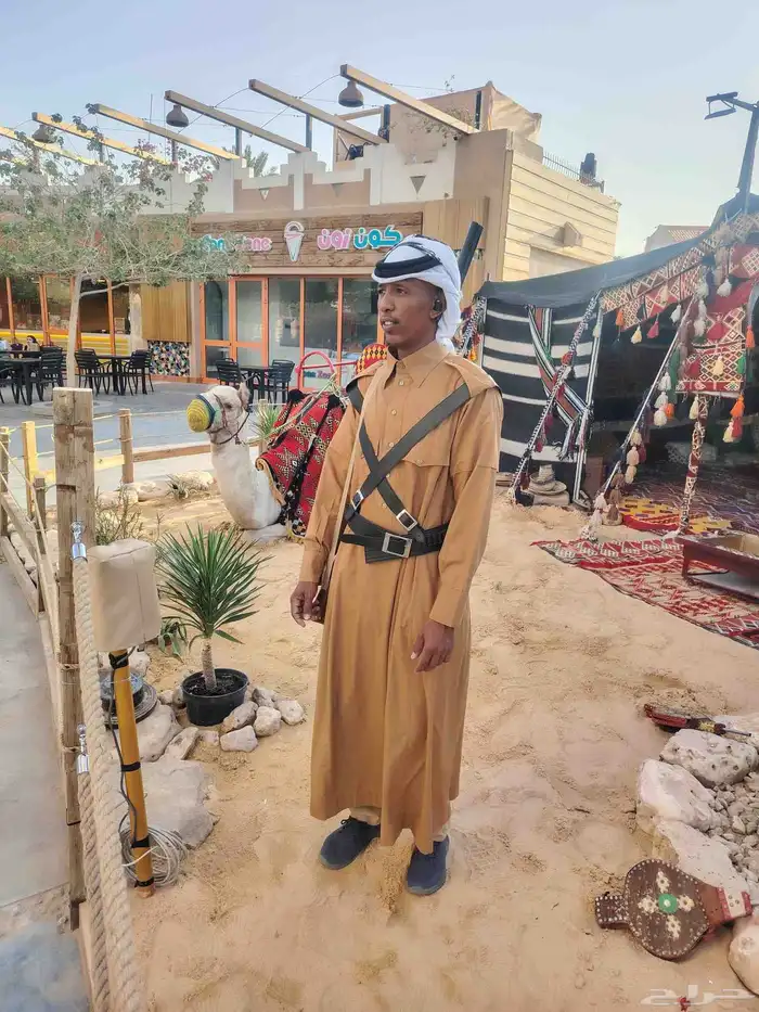 تاجير جمال وخيول وخيل صغيره اجار زلول رحول ركبي ابل 4