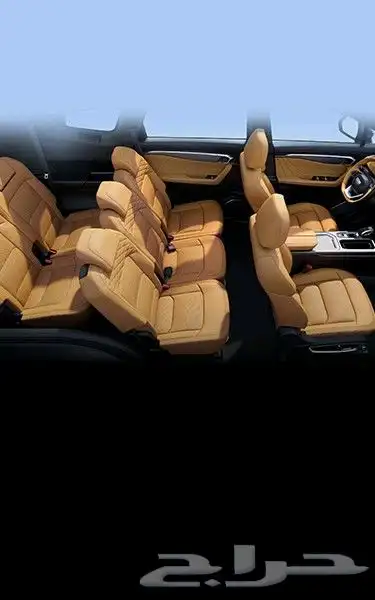 جيلي اوكافانجو 2025 13