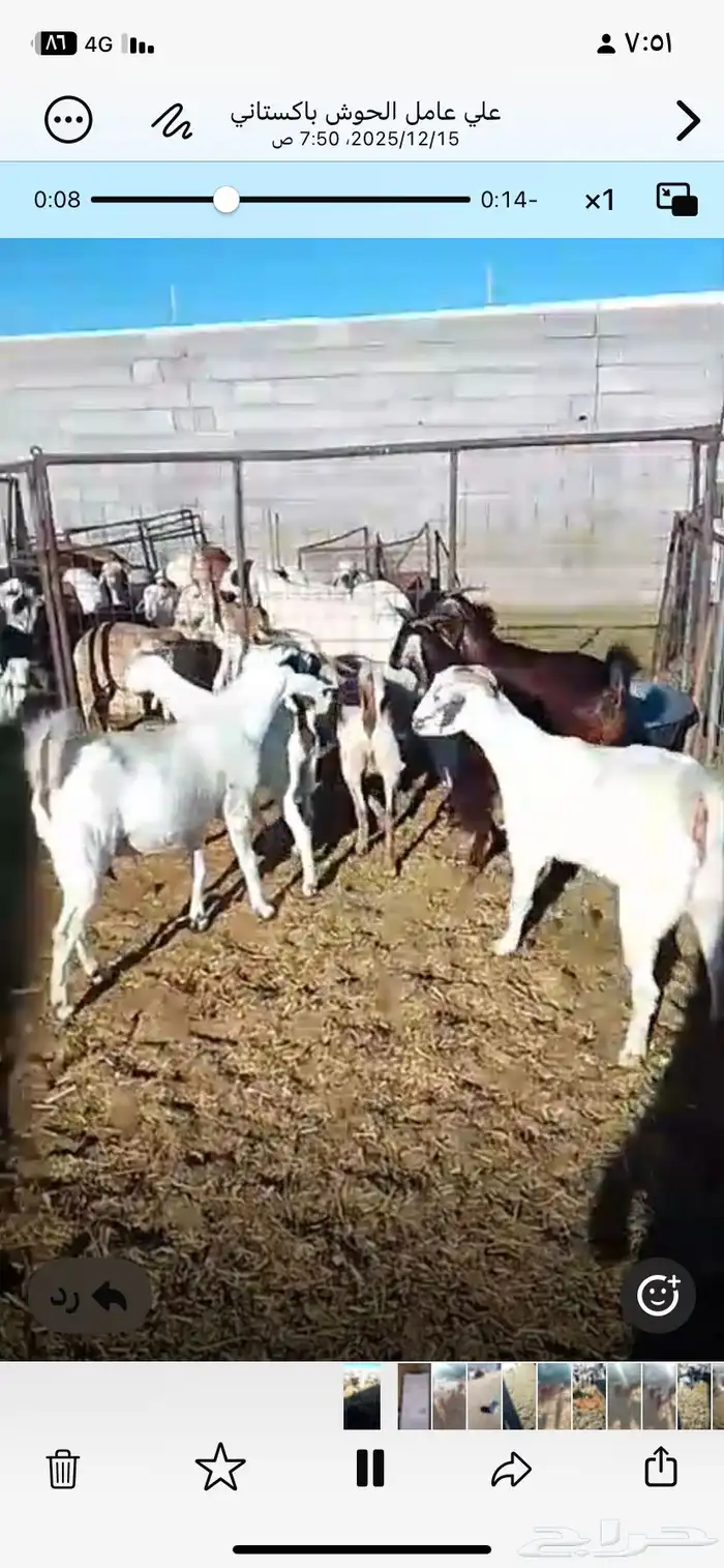 معزا دفيع شرط على السونار ومقاريب وصغار سن 1