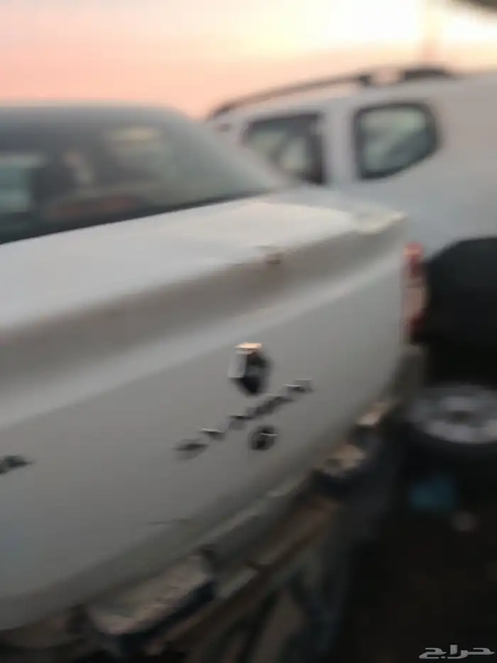 جميع انواع الرينو 4