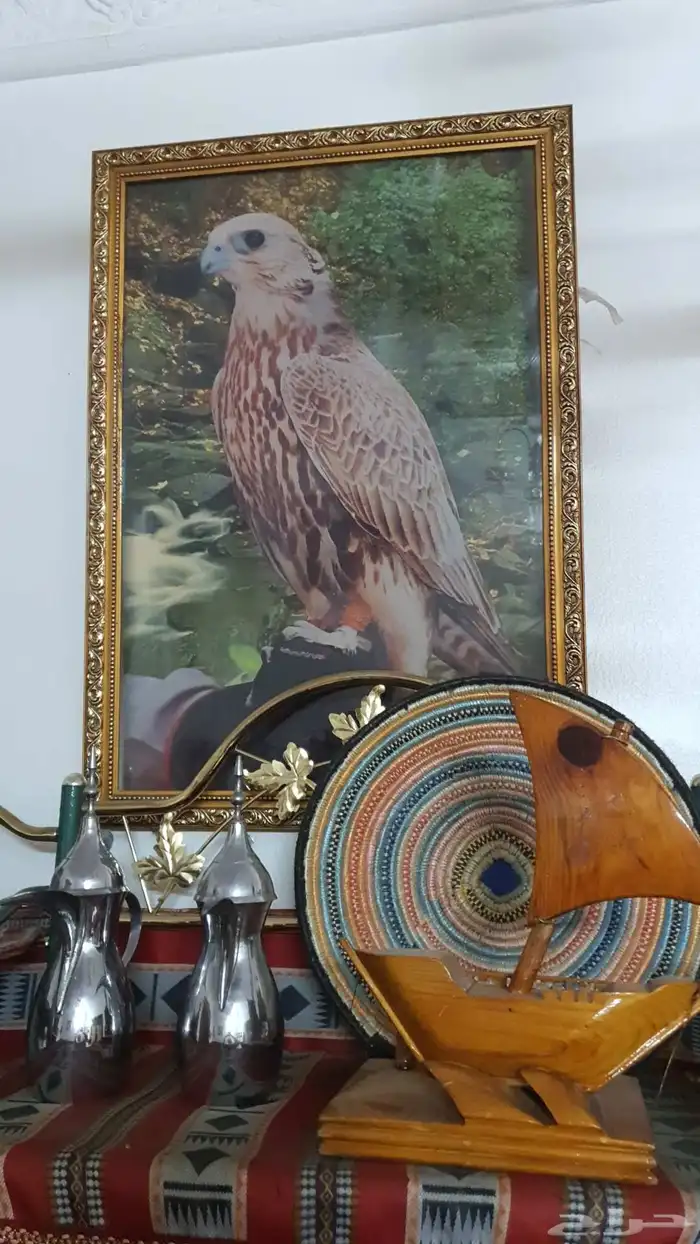 جده حي السامر 3