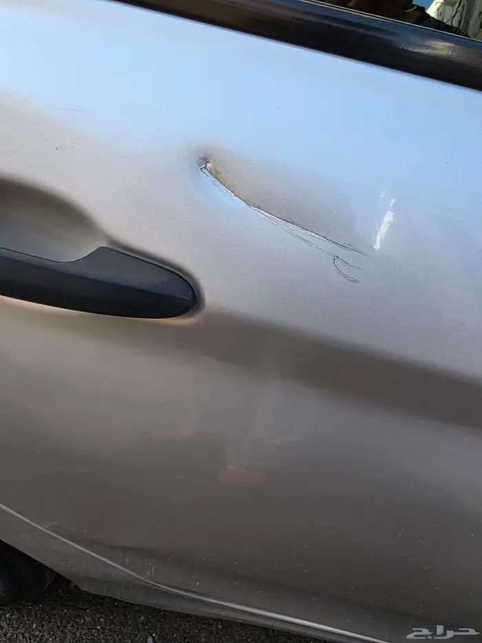 دودج نيون 2020 4