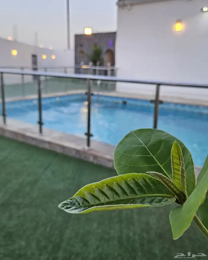 شاليه للحفلات و المناسبات نظيف وكبير 23