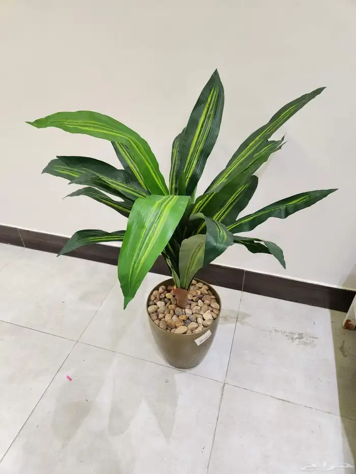 للببع اغراض منزلية 5