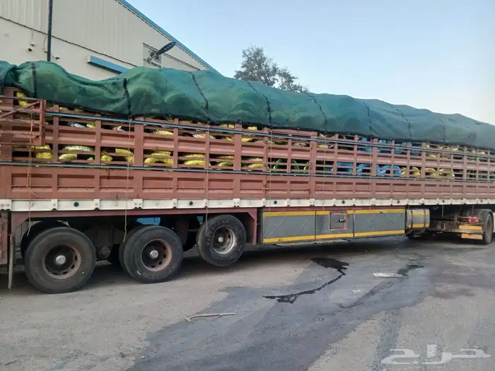 تريلة جوانب عالية 17 م للتحميل عفش حلال علف 0