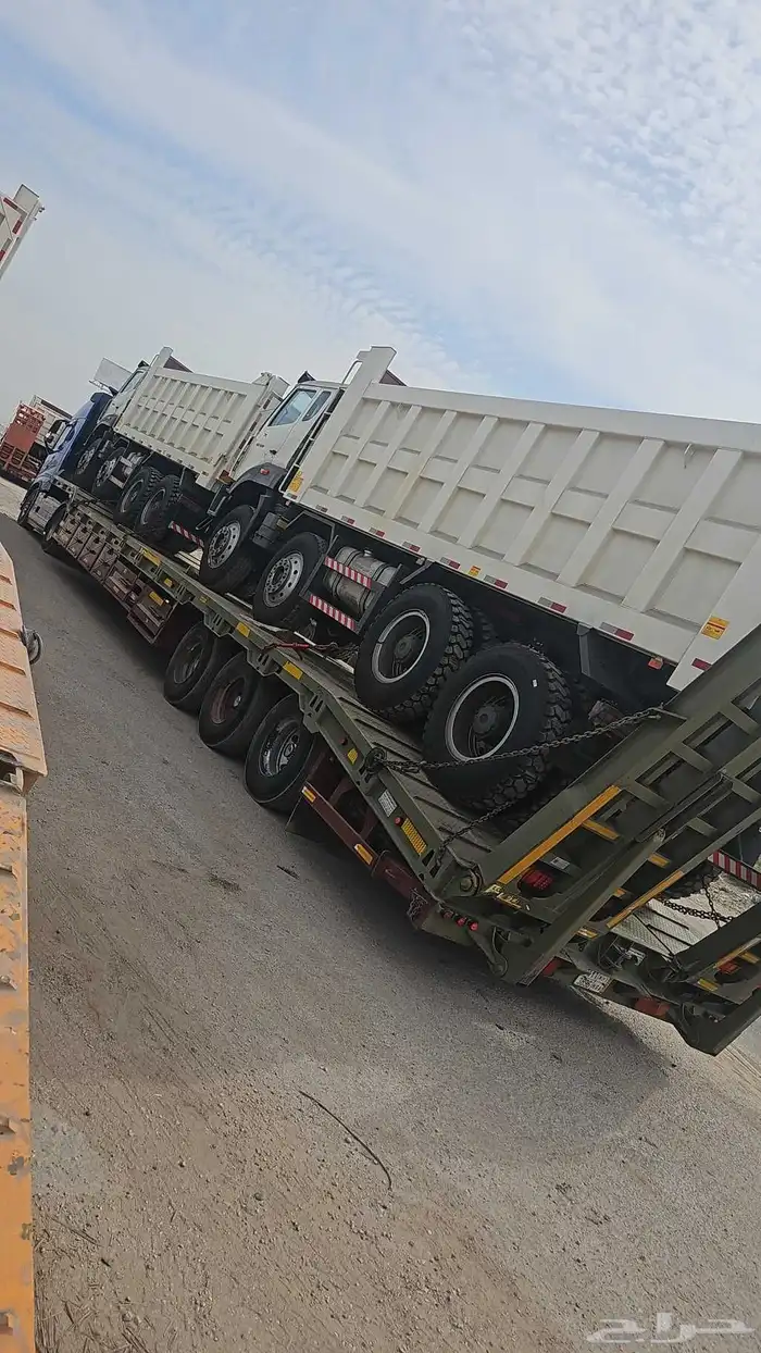 لوبد في الدمام 1