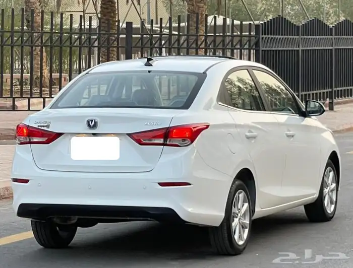 شانجان السفن 2025 فل سعودي 7