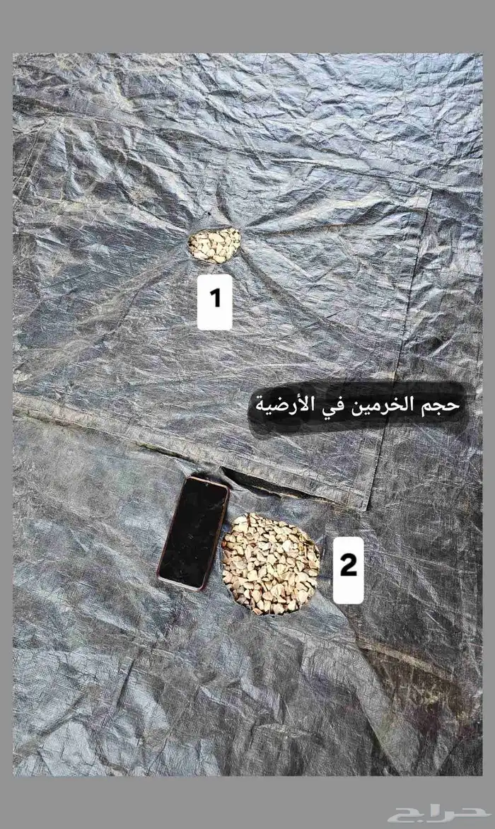 خيمة المكشات 4 4 خيمه 1