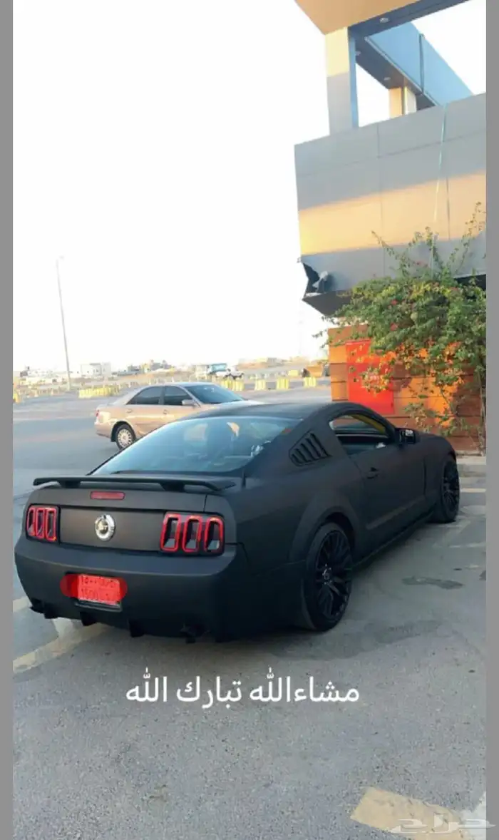 موستنج للبيع 7