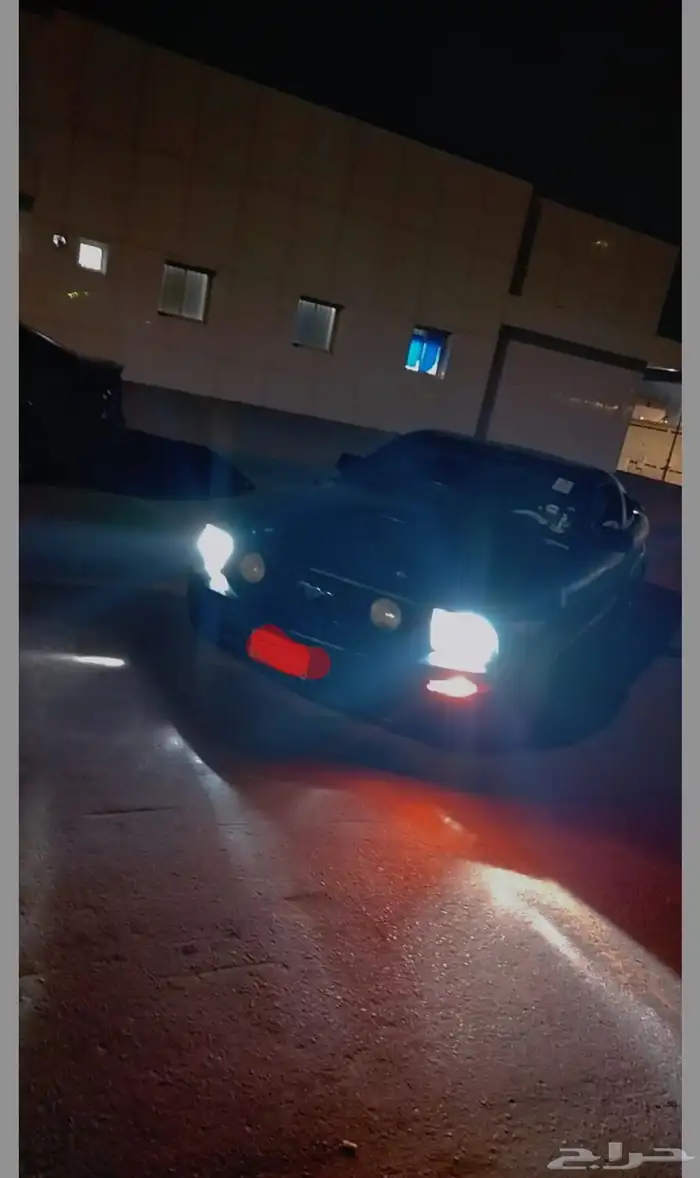 موستنج للبيع 8