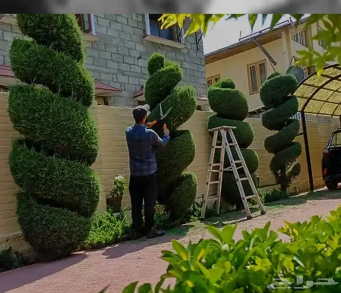 معلم قص جميع الاشجار تلقيح نخل وتكريب النخل 0