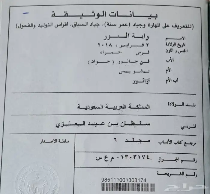 رمكه إنتاج معها جواز 1