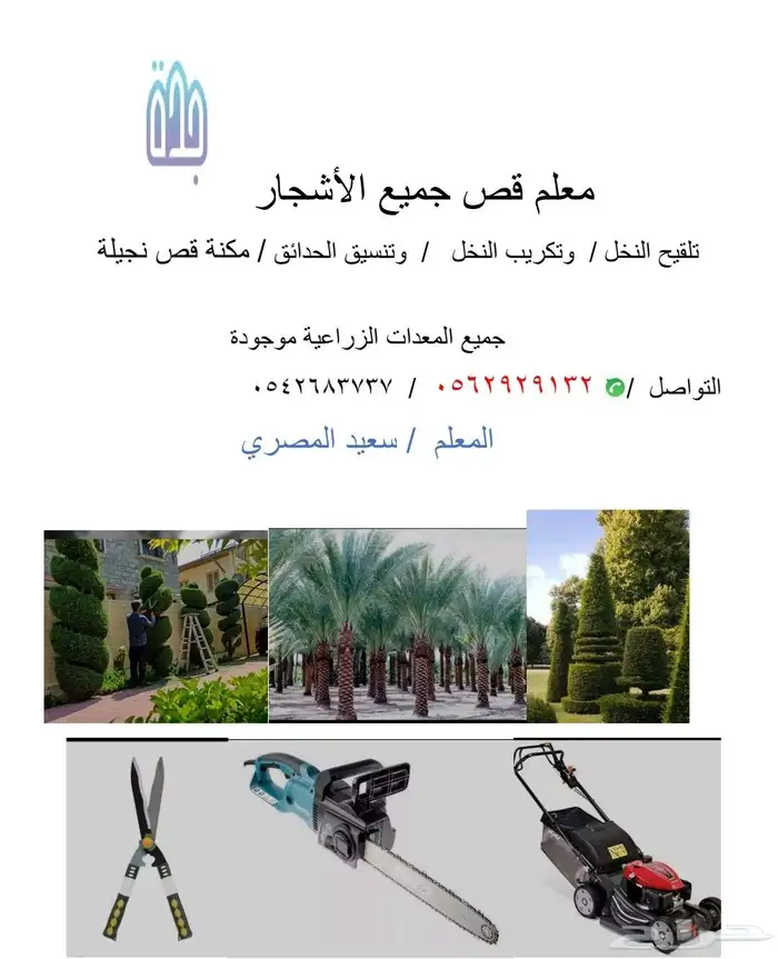 معلم قص جميع الاشجار تلقيح نخل وتكريب النخل 1