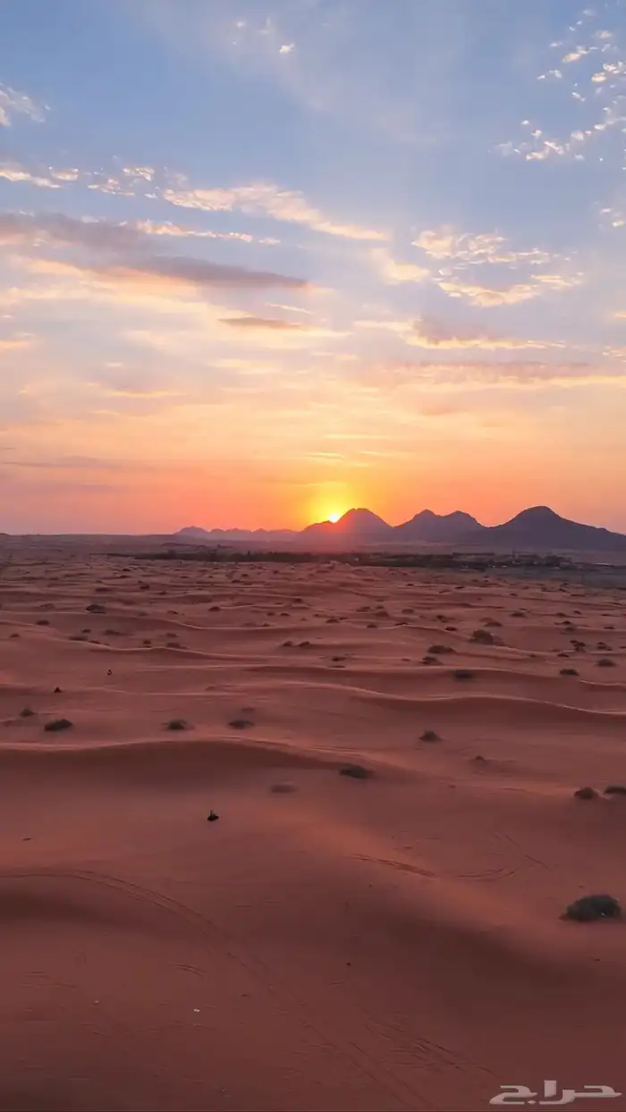 مطلوب سيارة للاجار 0