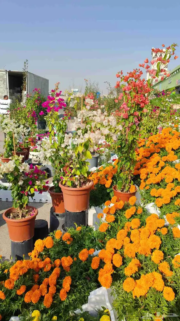 زرع طبيعي وسماد وتربيه 1