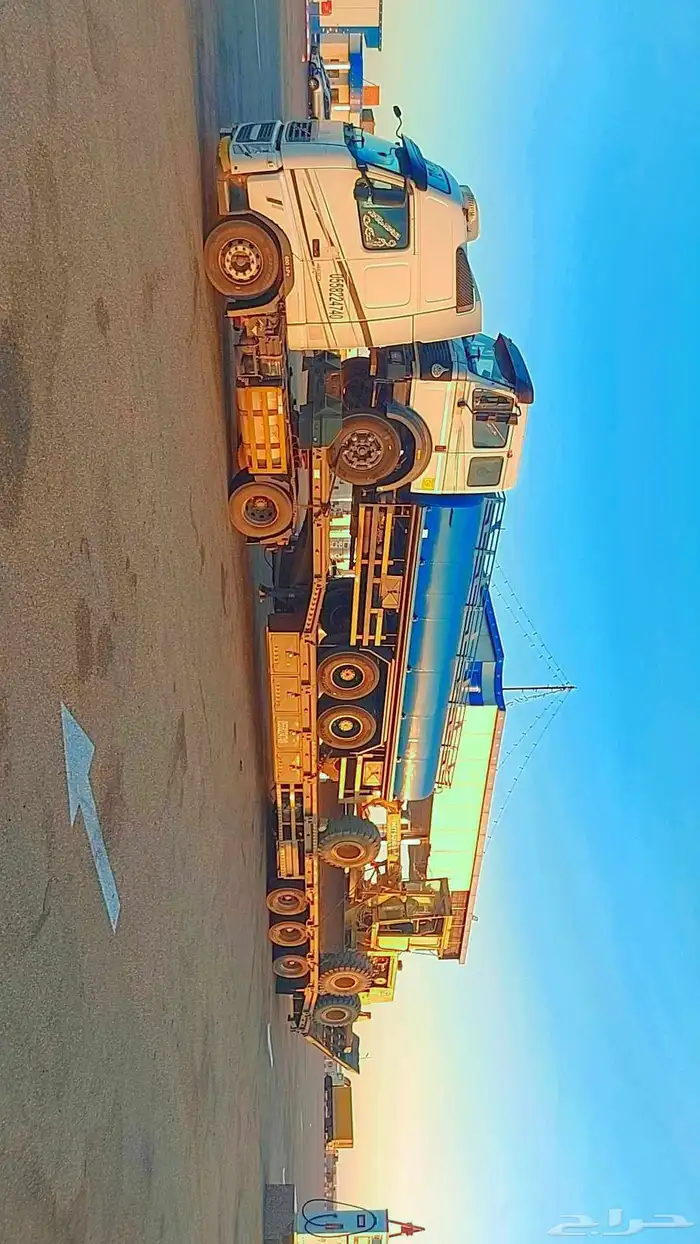 لوبد المدينة المنورة متواجد 0