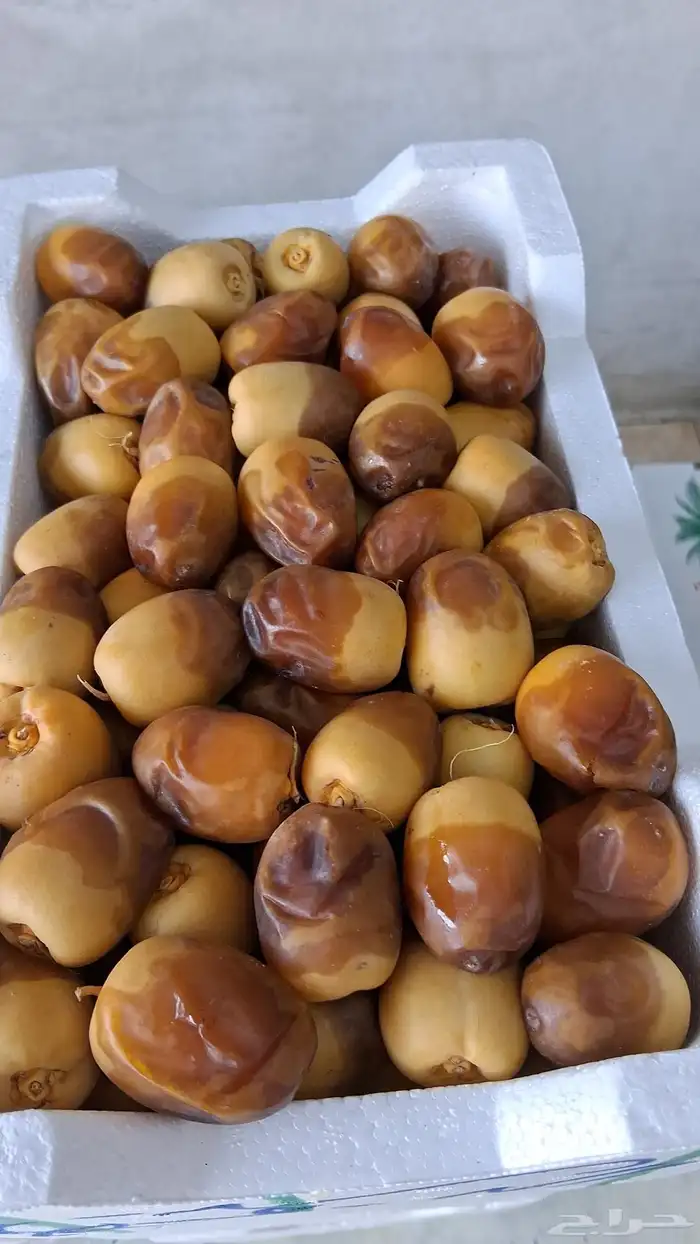 جميع انواع التمور الفاخرة 0