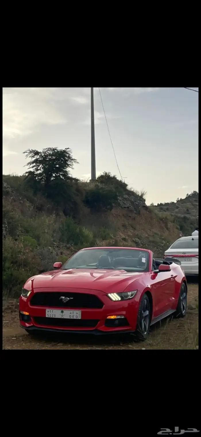 موستنج موستنق كشف 2015 2