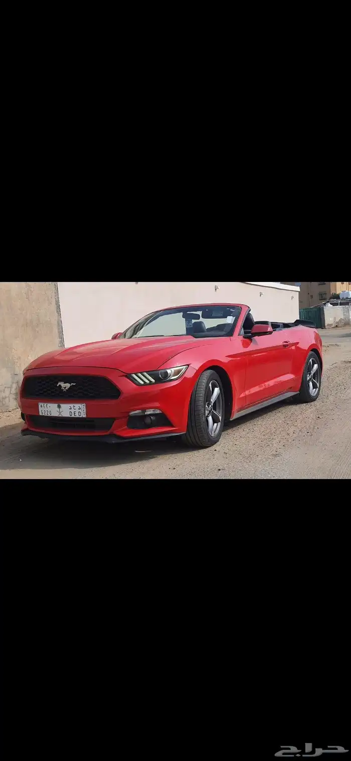 موستنج موستنق كشف 2015 4