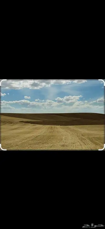 ارض زراعية للبيع في المزاحمية مخطط الربيع الأول 0