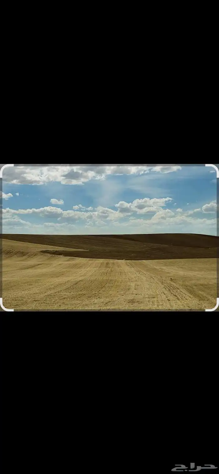 ارض زراعية للبيع في المزاحمية مخطط الربيع الأول 0