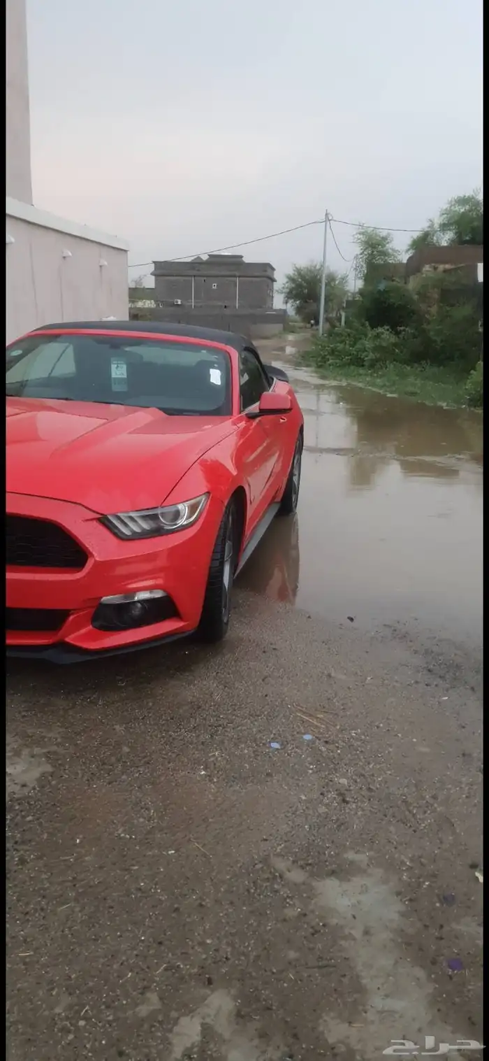 موستنج موستنق كشف 2015 3