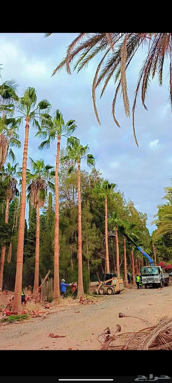 ونس 4طن تركيب انارات سله علا الونش 3