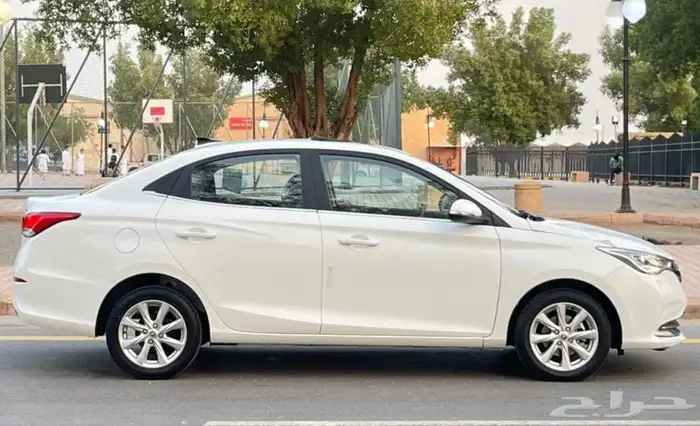 شانجان السفن 2025 فل سعودي 6