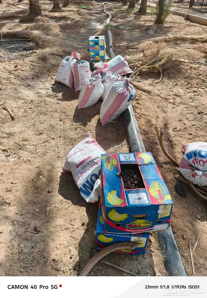 نفيع للحلال 2