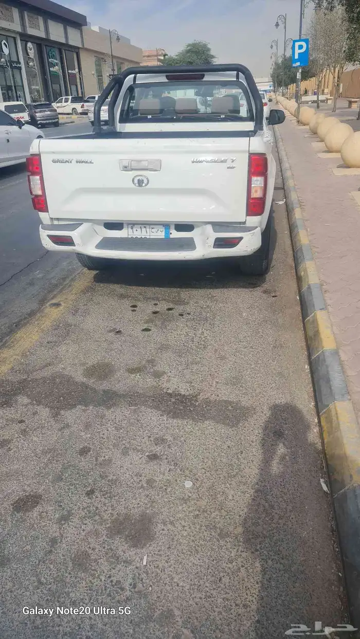 جريت وول 2020 4