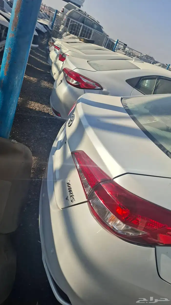 كولار من مديل 200لم مديل 24 2