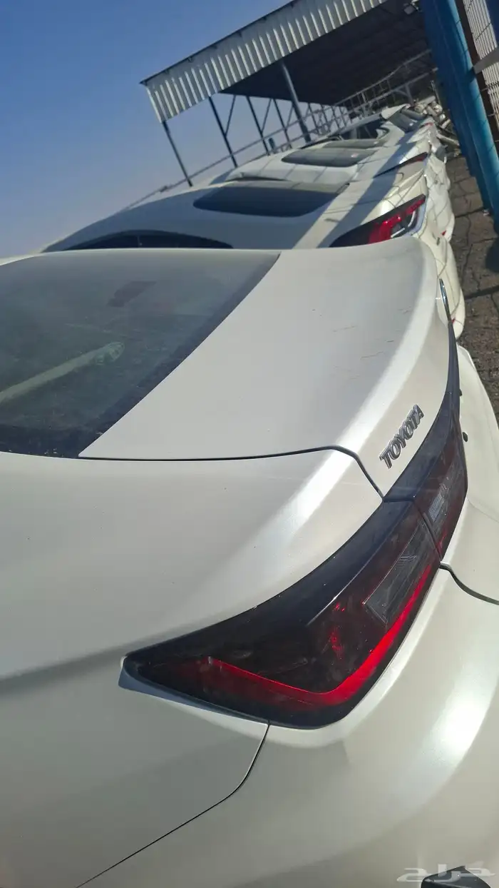 كولار من مديل 200لم مديل 24 5