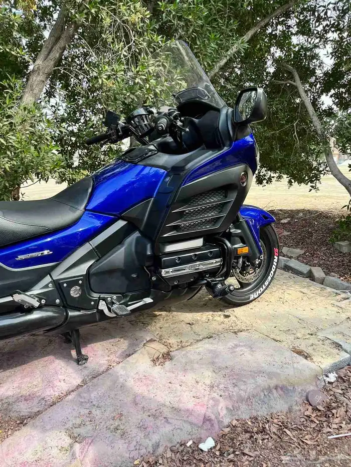 قولد ونق F6B. 2015 0