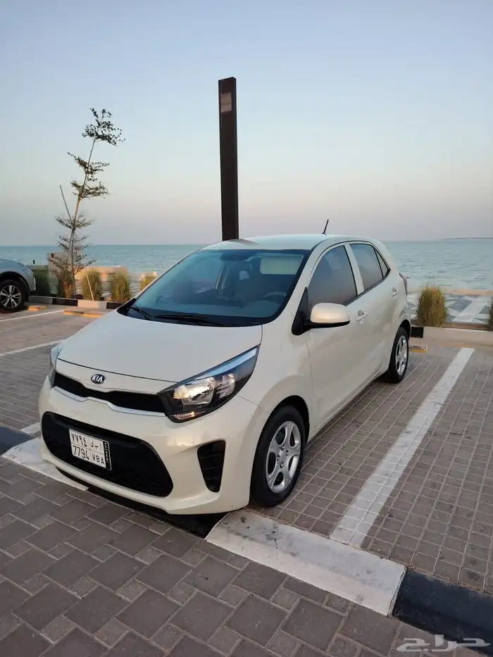 بيكانتو 2020 بدي وكاله 5