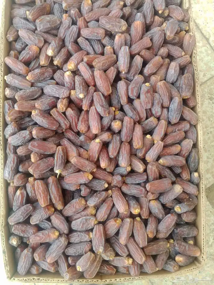 تمر مبروم كبير عل وسط 600 كرتون نظيف تحت زي فوق صبه وحده 2