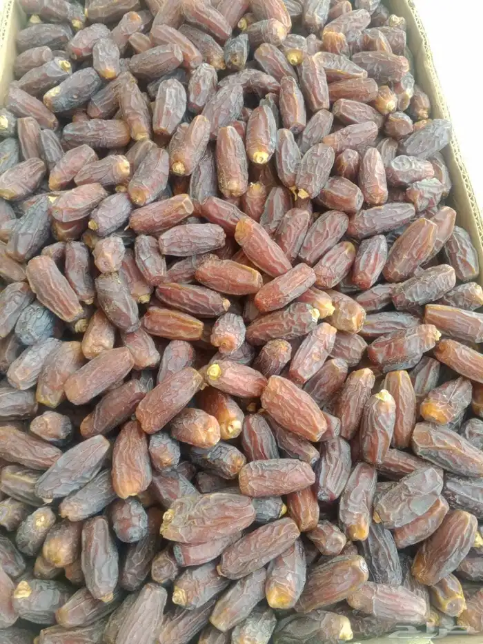 تمر مبروم كبير عل وسط 600 كرتون نظيف تحت زي فوق صبه وحده 0