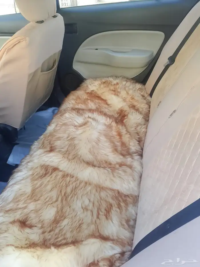 اتراج موديل 2021 وكاله مشروطه 2