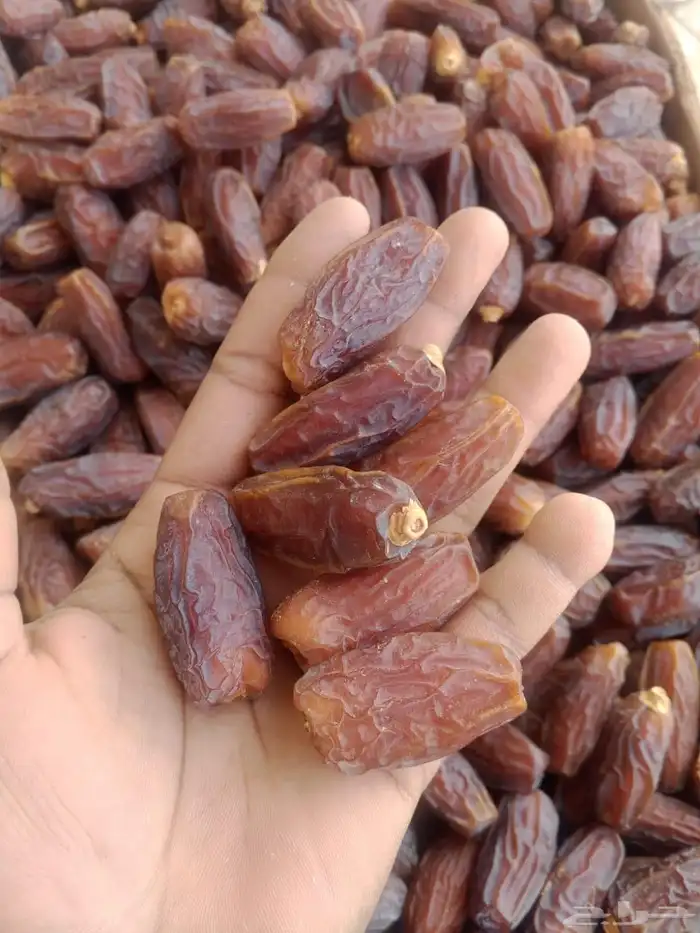 تمر مبروم كبير عل وسط 600 كرتون نظيف تحت زي فوق صبه وحده 1