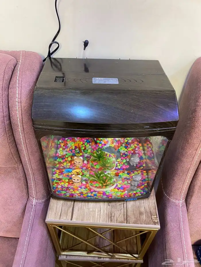 حوض اسماك للبيع مكون من 6 سمكات وفلتر هواء 2