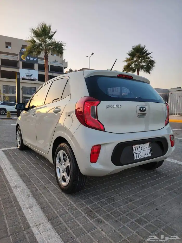 بيكانتو 2020 بدي وكاله 1