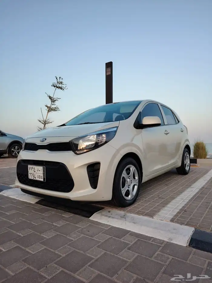 بيكانتو 2020 بدي وكاله 7