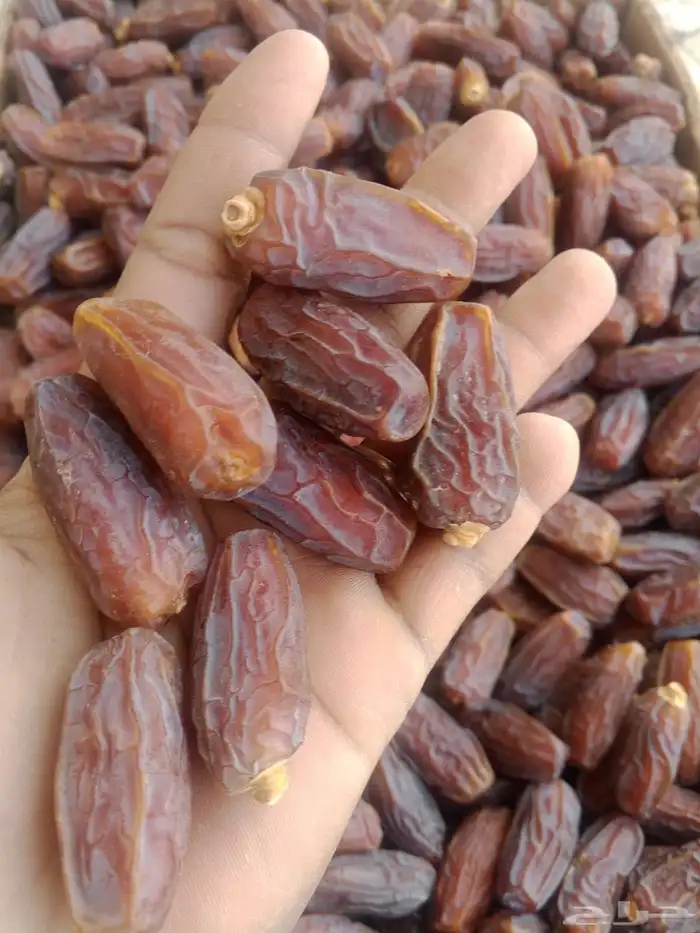 تمر مبروم كبير عل وسط 600 كرتون نظيف تحت زي فوق صبه وحده 3