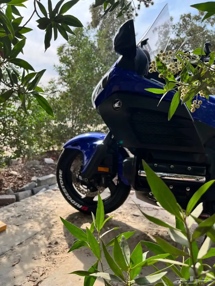 قولد ونق F6B. 2015 6