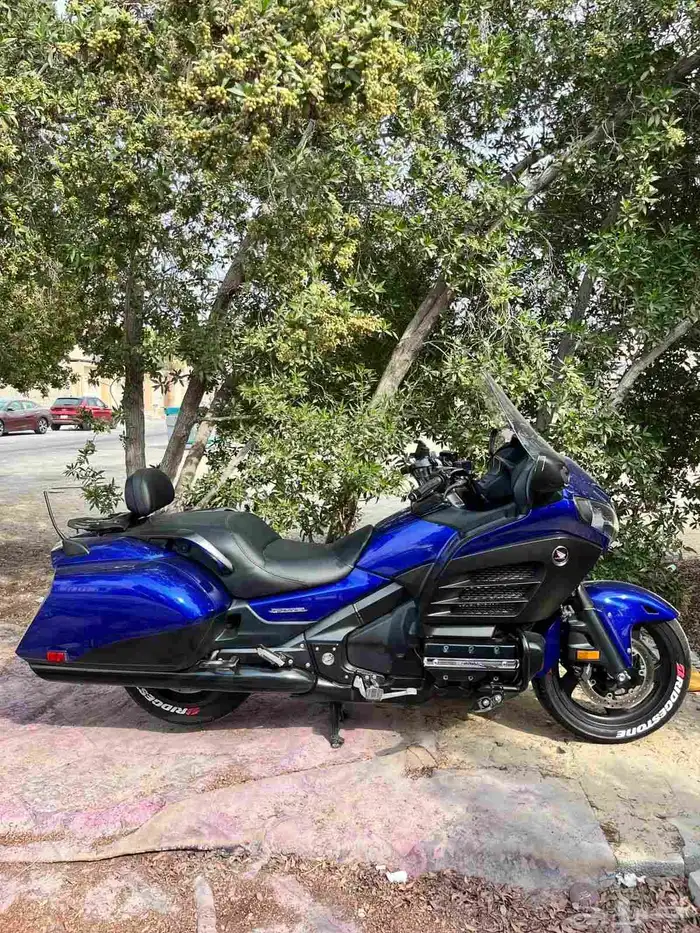 قولد ونق F6B. 2015 5