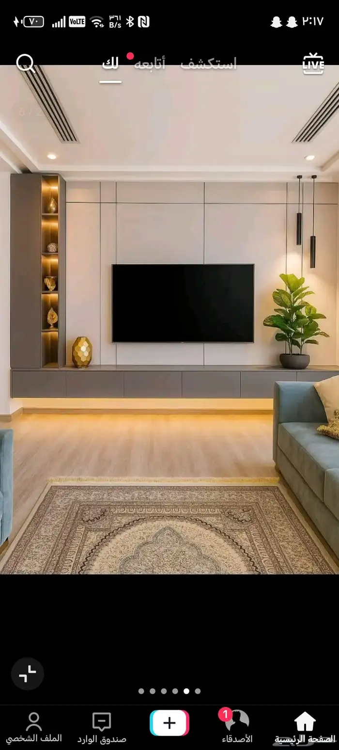 ديكورات ودهانات 5