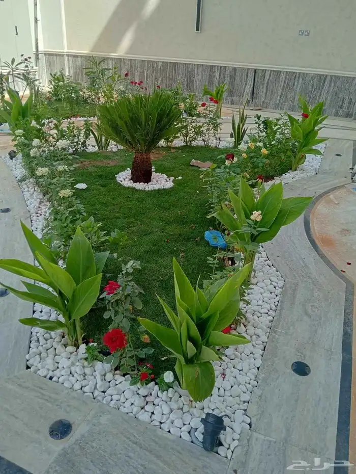 مشتل الورد 5