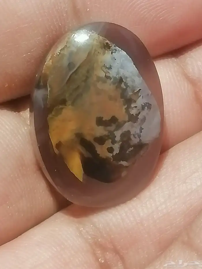 خاتم عقيق مصور نوادر 1