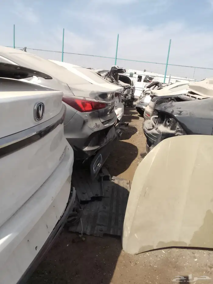 شانجان أيدوا بلاس 23 4