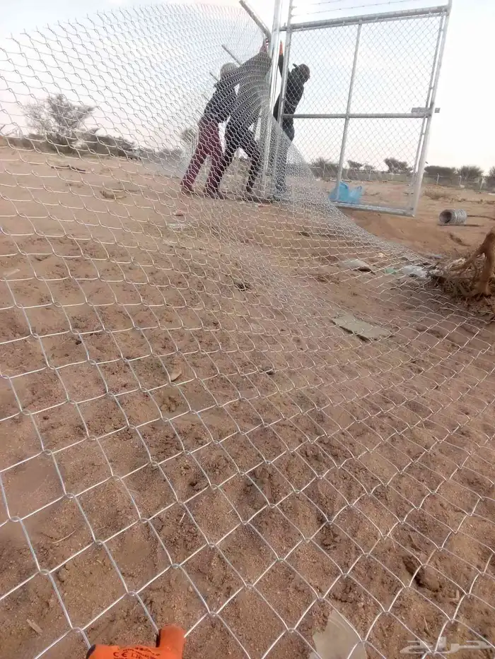 توريد نخيل وتركيب شبوك 3